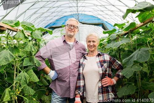 Image of happy senior couple at farm greenhouse