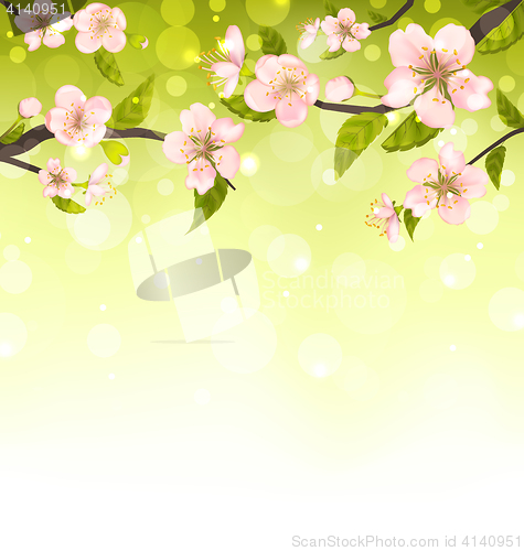 Image of Cute Branches of Cherry Blossom Tree
