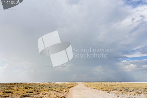 Image of Etosha landscape