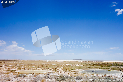 Image of Etosha landscape