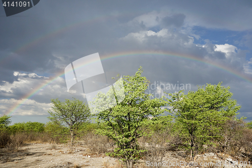 Image of rainbow