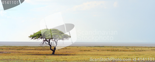 Image of african landscape