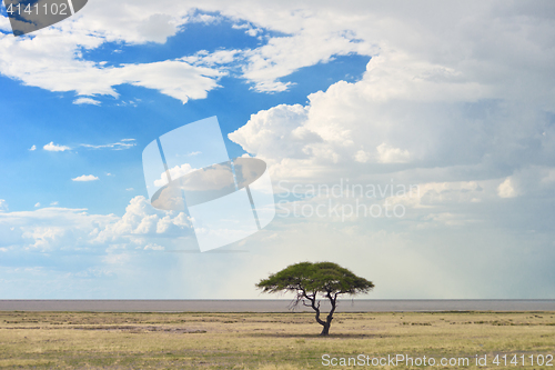 Image of african landscape