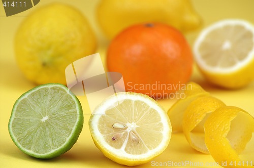 Image of Citrus fruits