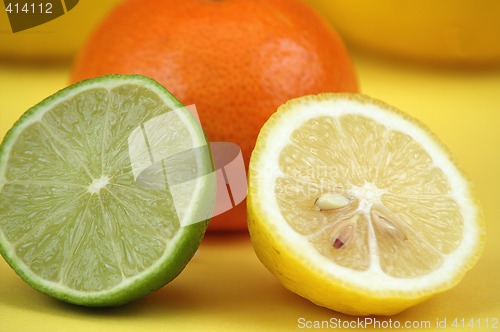 Image of Citrus fruits