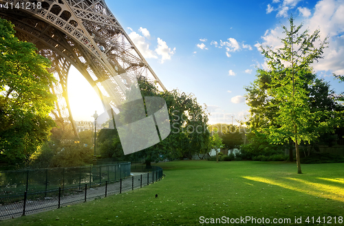 Image of Meadow near Eiffel Tower