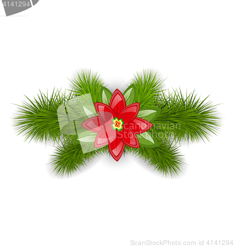 Image of Christmas composition with fir twigs and flower poinsettia, isol