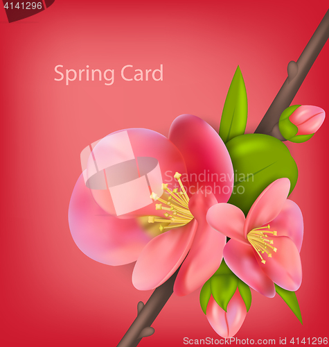 Image of Spring greeting card with branch of Japanese Quince (Chaenomeles