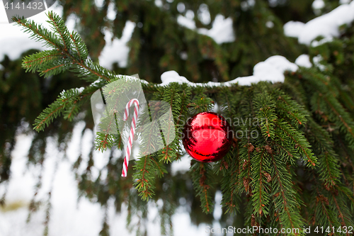 Image of candy cane and christmas ball on fir tree branch