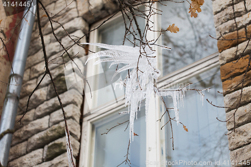 Image of icicles on tree branch over window