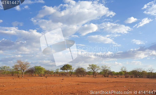 Image of Kalahari