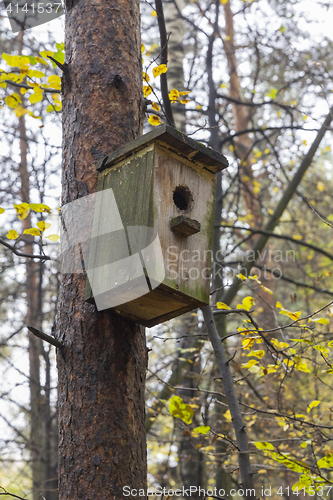 Image of Wooden birdhouse on a pine tree. Autumn forest.