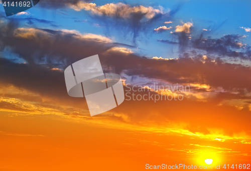 Image of nature