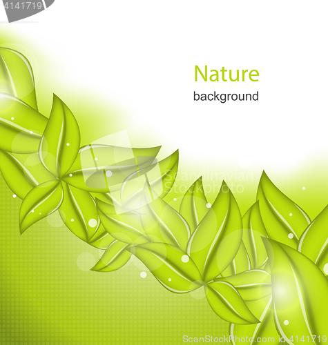 Image of Nature Background with Eco Green Leaves