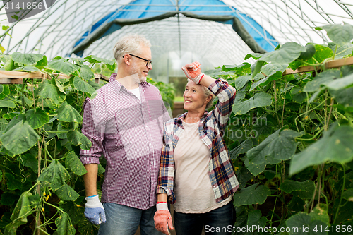 Image of happy senior couple at farm greenhouse