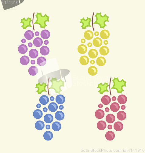 Image of Set Colorful Bunches of Grape