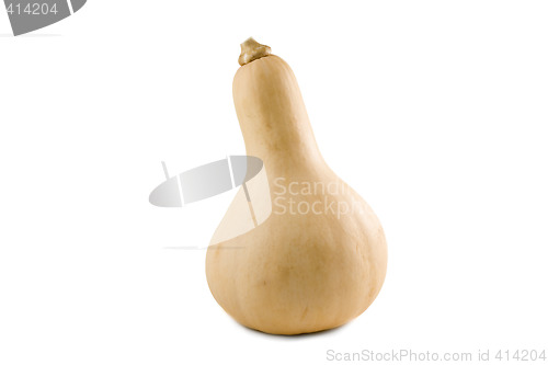 Image of Nice Pumpkin isolated on white background