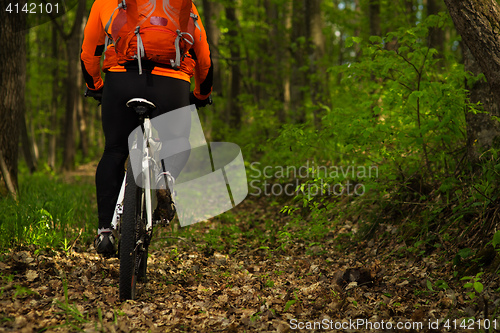 Image of Cyclist Riding the Bike on a Trail in Summer Forest