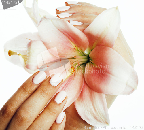 Image of beauty delicate hands with manicure holding flower lily close up isolated on white, spa salon concept