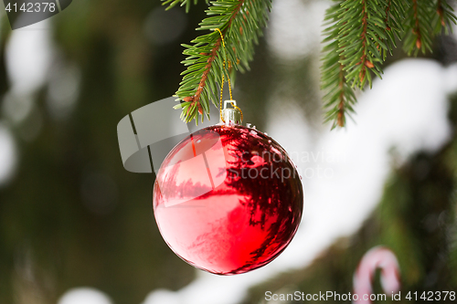 Image of red christmas ball on fir tree branch with snow