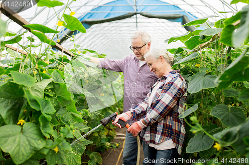 Image of senior couple with garden hose at farm greenhouse