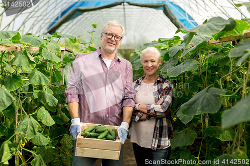 Image of senior couple with box of cucumbers on farm