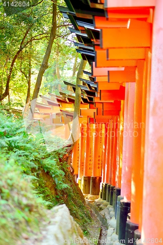 Image of Red torii gates at Fushimi Inari Taisha. Wishes written in Japanese on the posts.