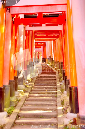 Image of Red torii gates and stone steps at Fushimi Inari Shrine, Kyoto.