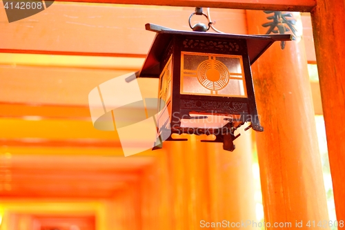 Image of Lantern and red torii gates at Fushimi Inari