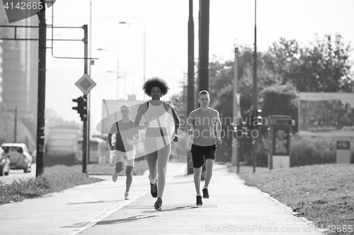 Image of multiethnic group of people on the jogging