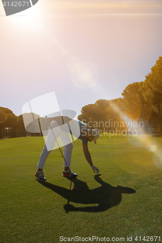 Image of golf player placing ball on tee.