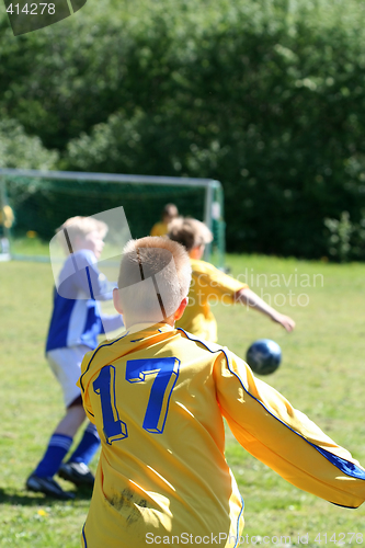 Image of Soccer player
