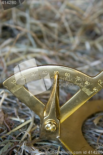 Image of Farrier tool