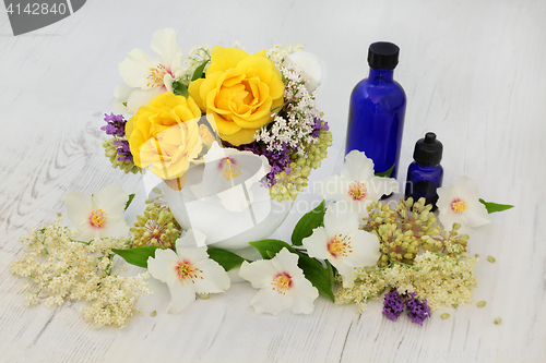 Image of Healing Flowers and Herbs