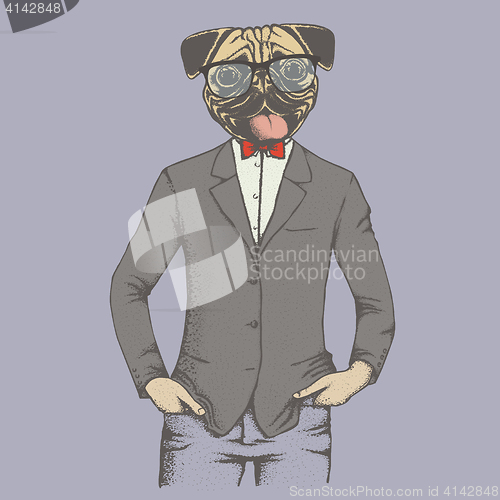 Image of Pug dog vector illustration