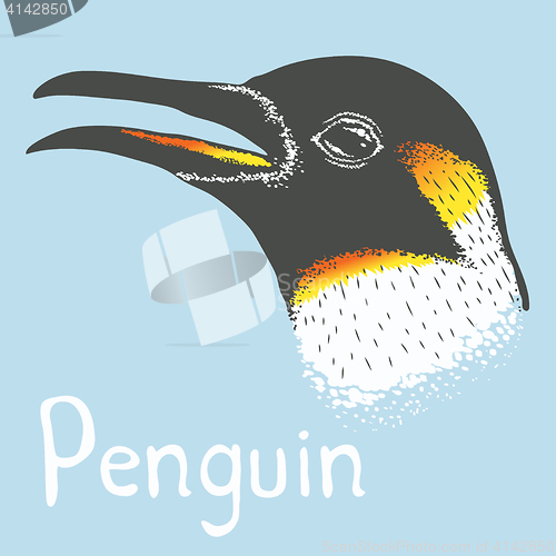 Image of Penguin vector illustration