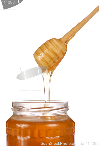 Image of Honey