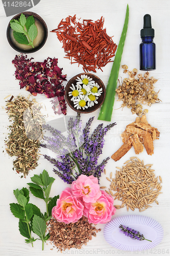 Image of Herbal Skincare with Healing Ingredients