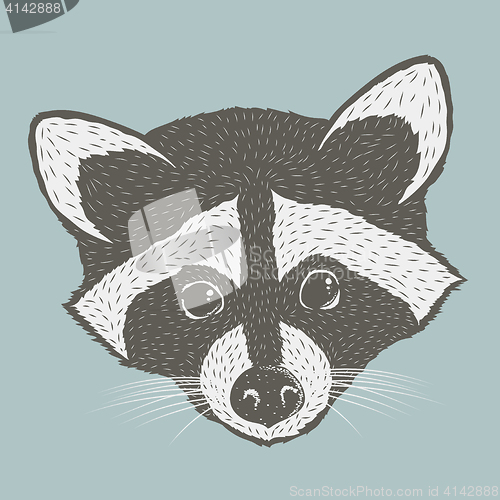 Image of Raccoon vector illustration