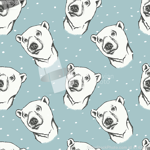 Image of Polar bear vector illustration