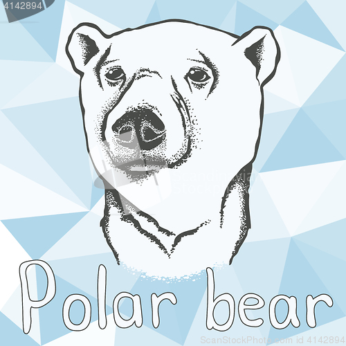 Image of Polar bear vector illustration