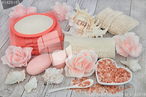 Image of Cleansing and Exfoliating Accessories