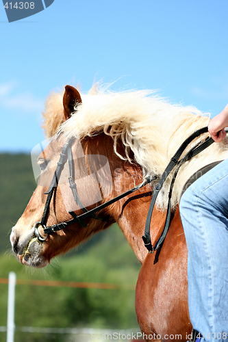 Image of Horse riding