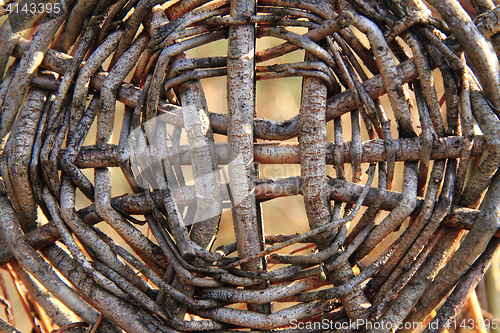 Image of spring willow sticks