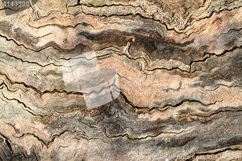 Image of old natural wood texture