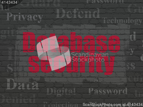 Image of Protection concept: Database Security on wall background