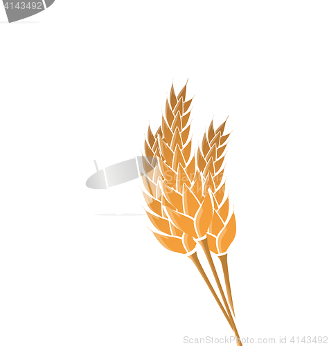Image of Ears of wheat isolated on white background