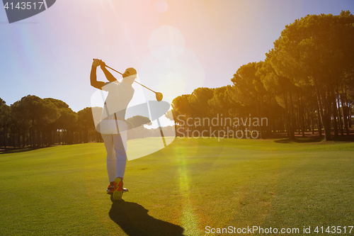 Image of pro golf player shot ball