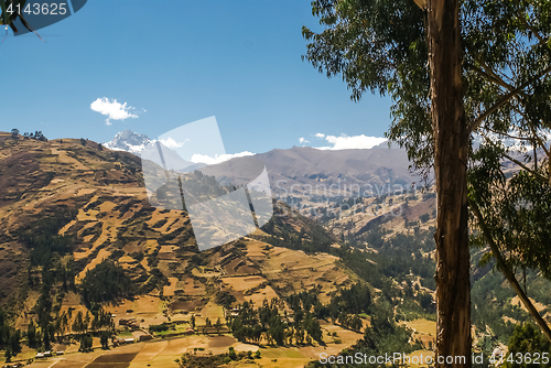 Image of Countryside in sunlight