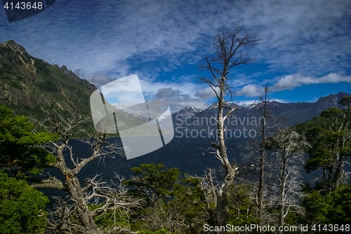 Image of Scenic view of Bariloche